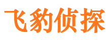 宁波市私家侦探